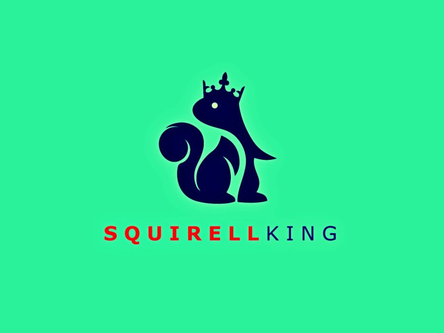 i will design minimalist or versatile and business logo design