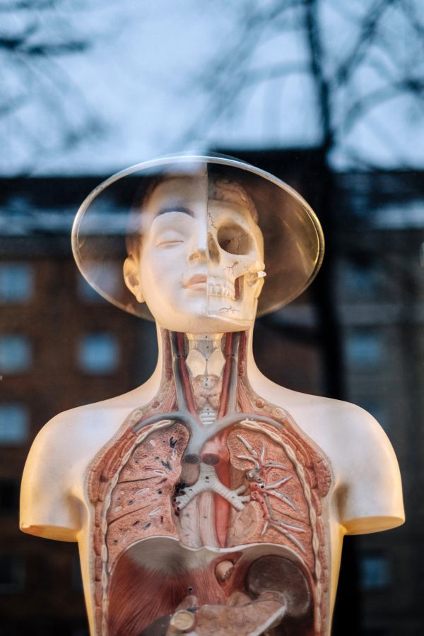 Will write 500 words Medical, Health and fitness articles or blogs.