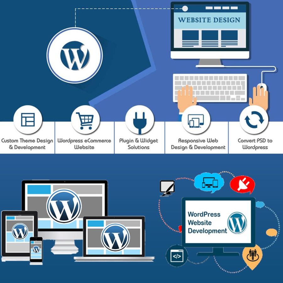 I will Create Website According to your requirements