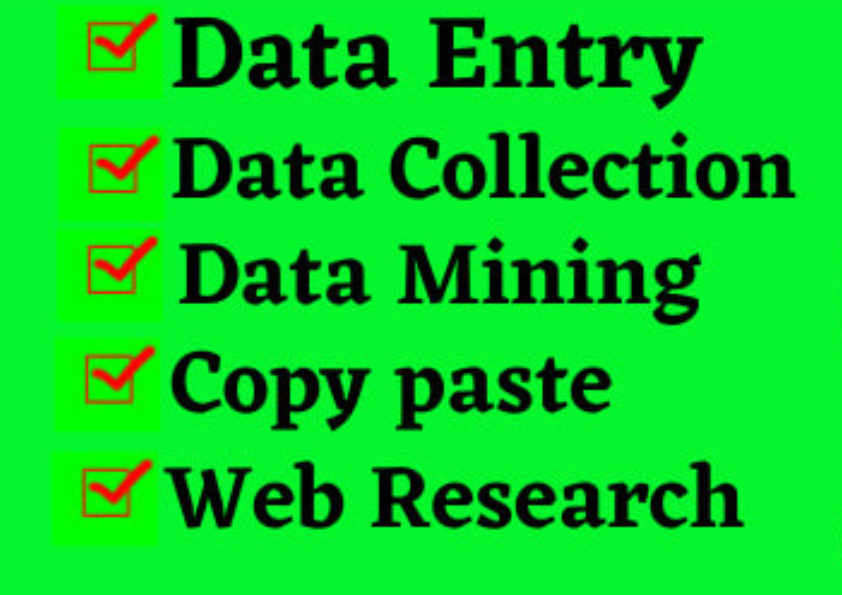 I will do data entry, copy paste, and web research job perfectly