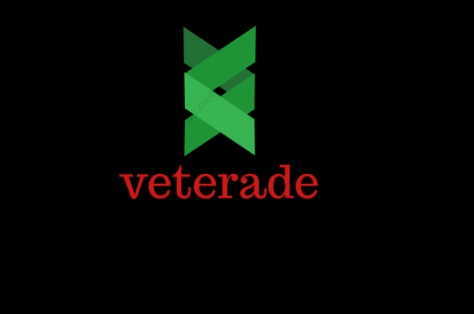 I will design 3 unique and professional logos in 24 hours
