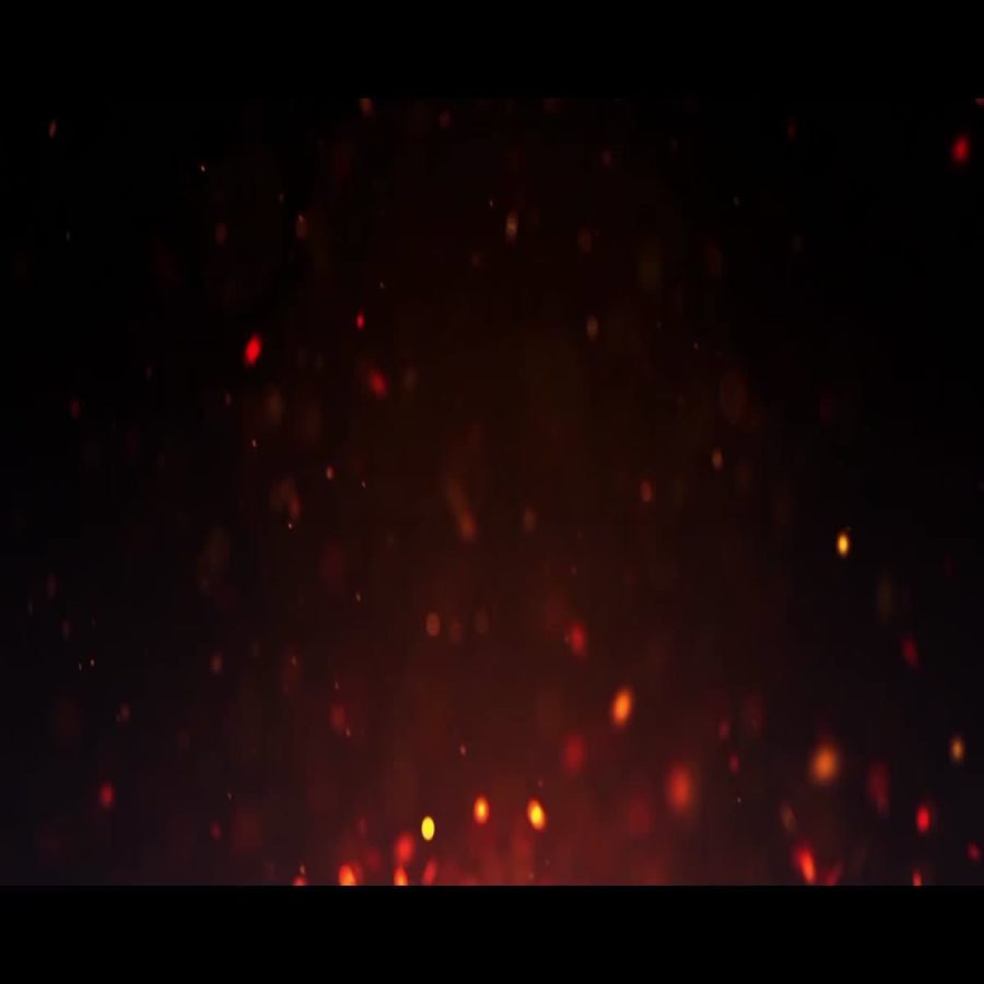 custom logo animation, intro and outro 