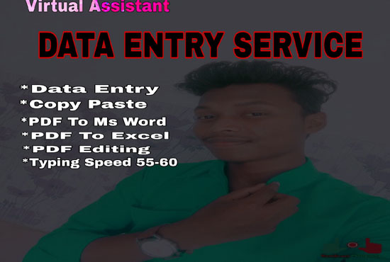 I will do excel data entry,copy past, pdf to word, typing