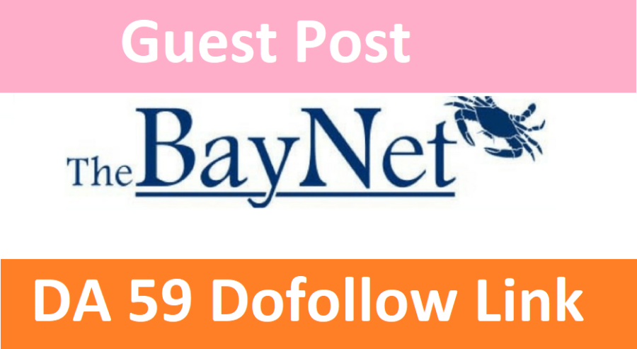 Write & Publish Guest post on Thebaynet DA59 