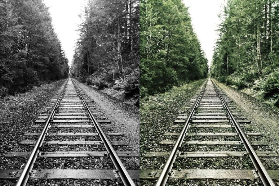 I will color your photo professionally