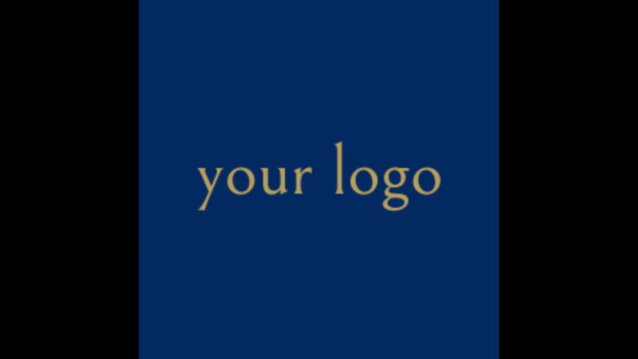 In under 24 hours, I will make a HD logo for an affordable price