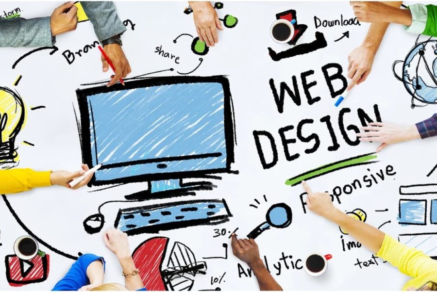  I provide you web Development in affordable price