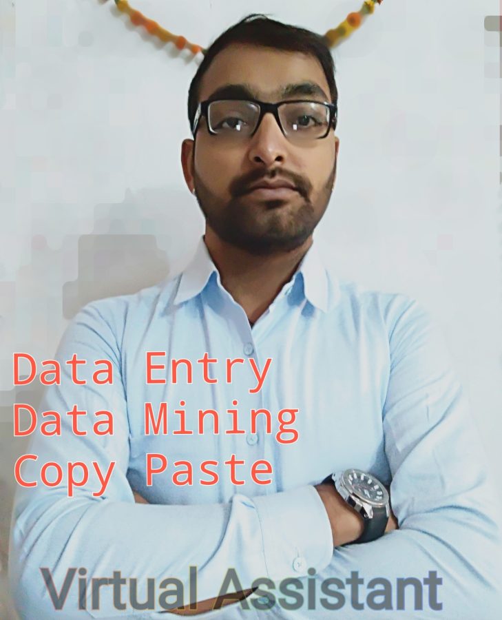I will do Data entry, Copy Paste and Typing.