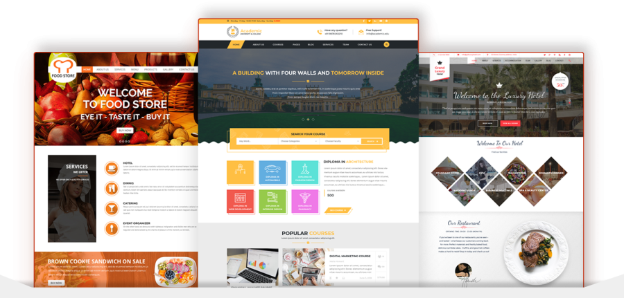 I will create a WordPress website, WordPress design or blog