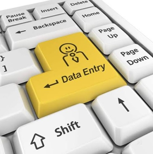 Data Entry work related, Data formatting services