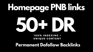 Build 3 Permanent DR 100+ Homepage PBN Dofollow Backlink