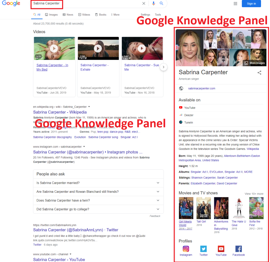 I Will create Google Knowledge Panel for Musician
