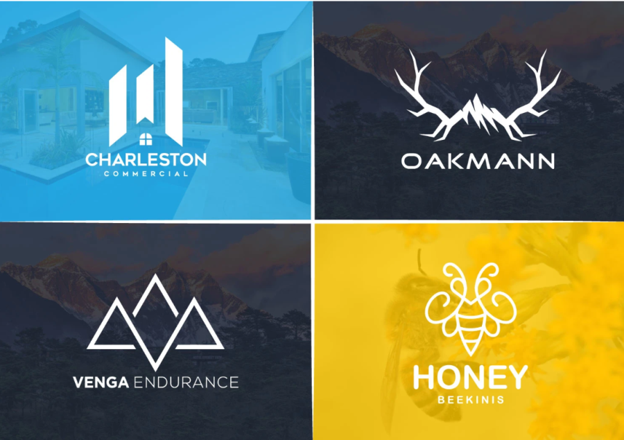 I will design modern flat minimalist business logo design within 24hours