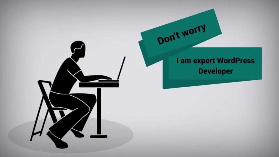 I will revamp, recreate, update and fix issues OR Develop a new wordpress website