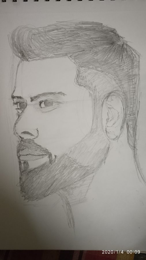 Artist with great qualities special in portrait drawing.