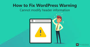 I will fix wordpress website issues or errors in 24 hrs