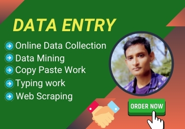 I will do administrator virtual assistant for data entry, Copy paste 