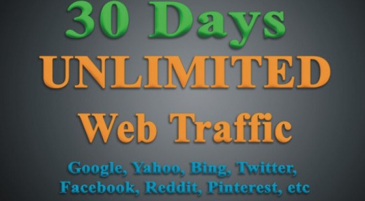 UNLIMITED TARGETED Web Traffic From Worldwide for 30Days to your Website