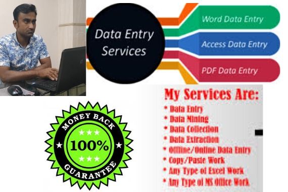 I will do fast data entry excel, web search within 16 hours 