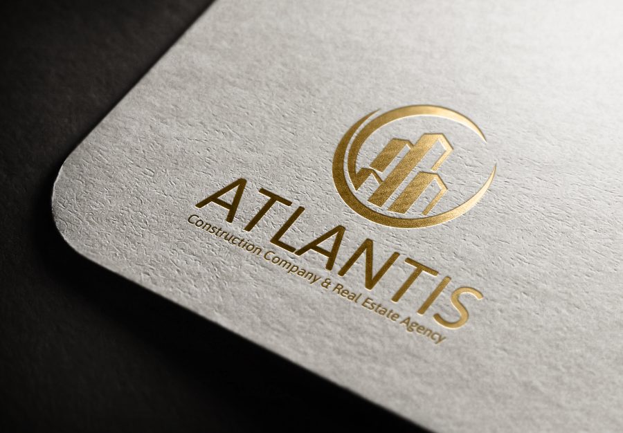 I will design a high quality business logo within 1 day