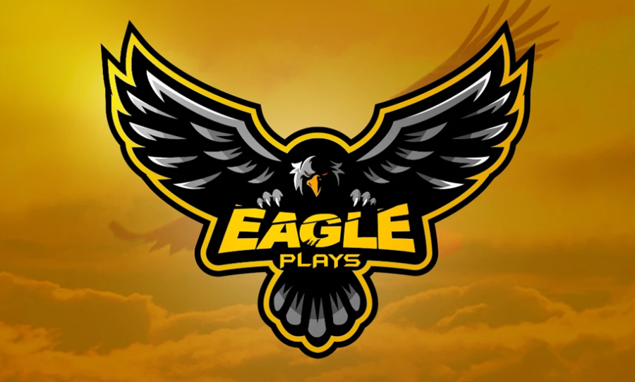 I will create a custom professional mascot logo or minimalist logo design