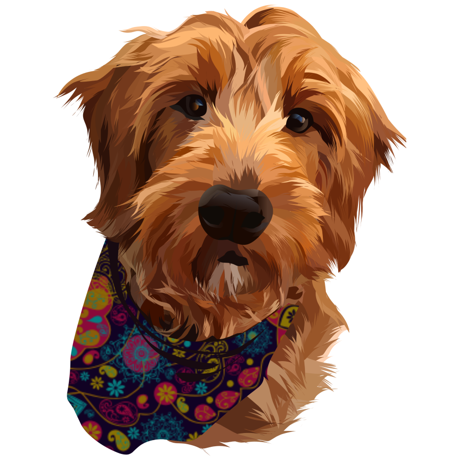 I will make vector illustration dog cat animal pet cartoon potratit
