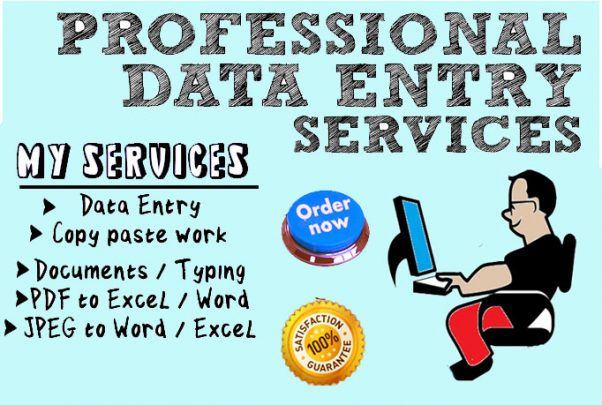I will do any type of data entry professionally