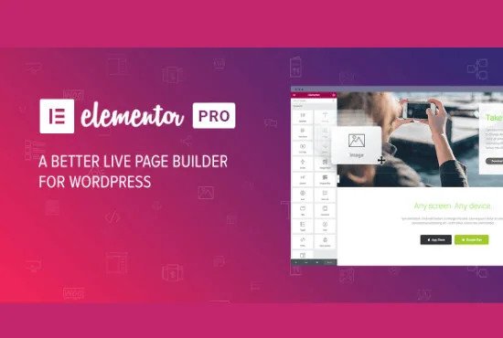 I will create a responsive wordpress website design responsive wordpress website with elementor pro
