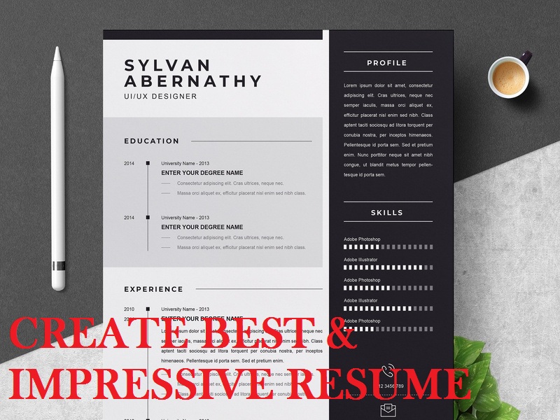 I can Provide You Impressive, Best & Professional Resume within 24 Hours