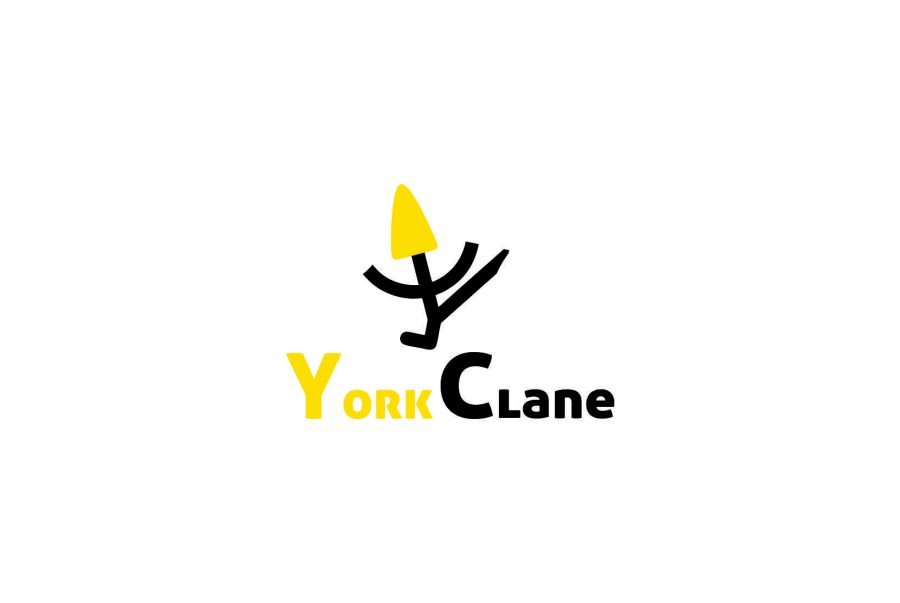 I will create a Professional Flat Minimalist Logo Design 