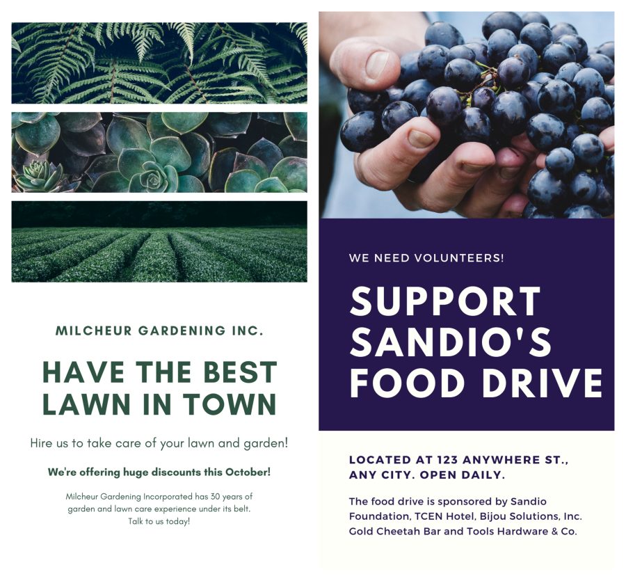 i will do professional and creative flyer and brochure design