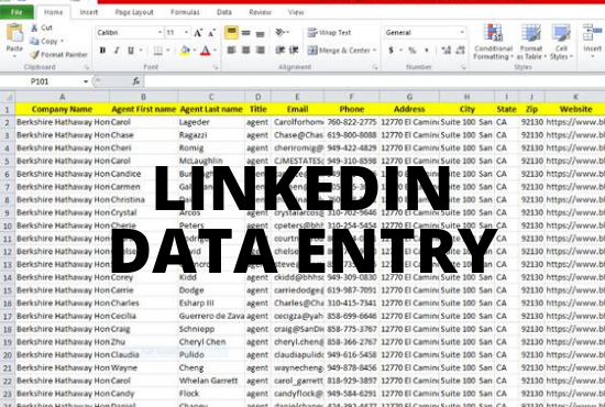 I will do data entry, data mining, data collection