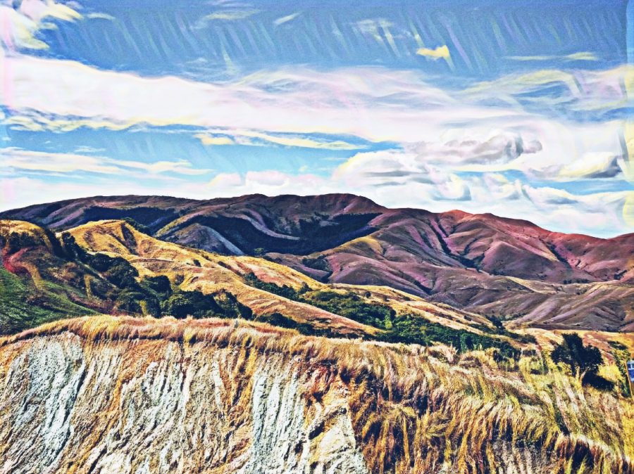 Convert Your Image Into Oil Canvas Design