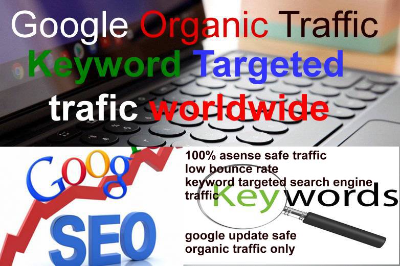 Keyword Targeted Google Organic Traffic with Low Bounce Rate for your website