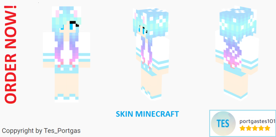 I will make you a separate Skin Minecraft in sophisticated and modern style