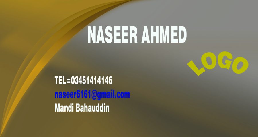 I will design professional Business Card in 24Hrs