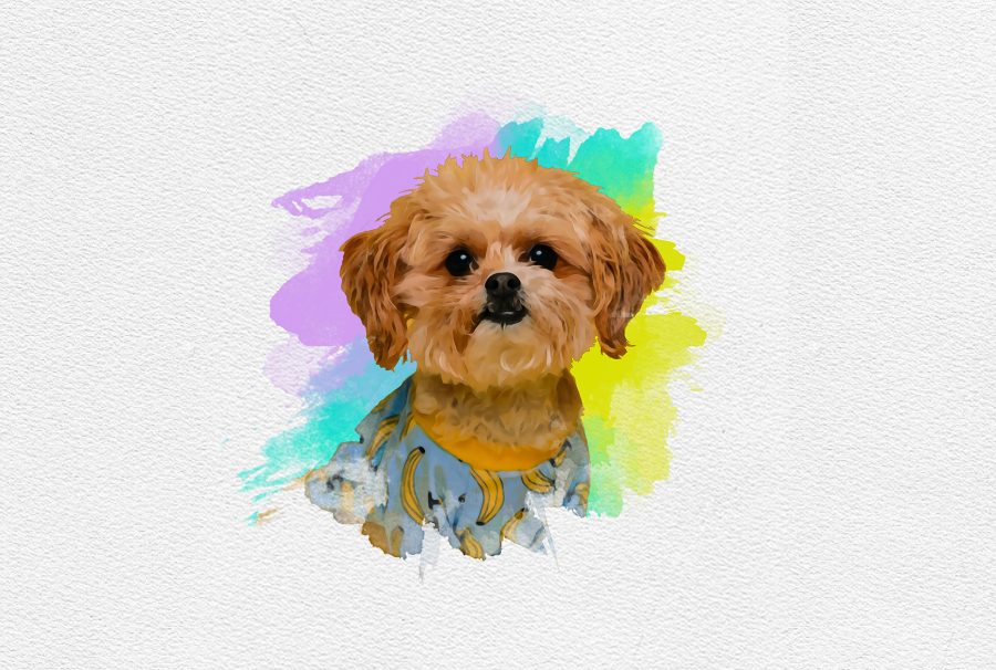 Draw a watercolor portrait from the photo
