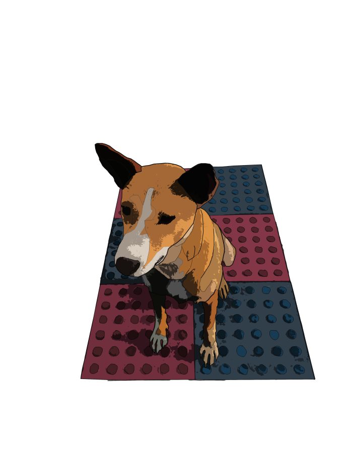 Turn your image into an awesome cartoon portrait(1 Figure)