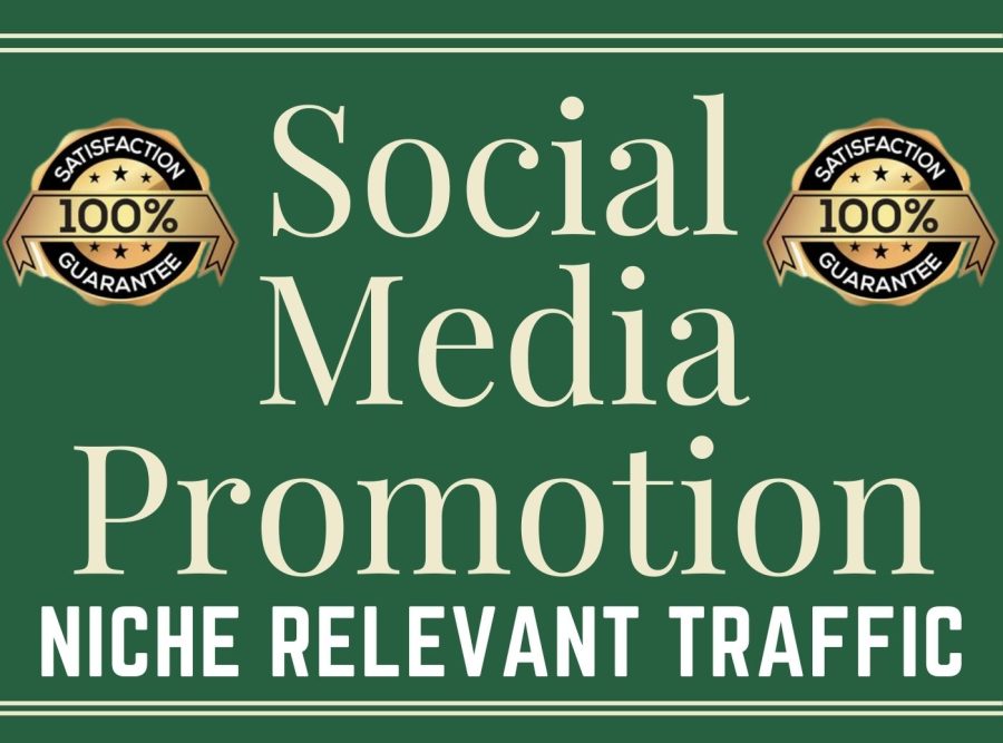 Get Online Organic Promotion world wide economy package