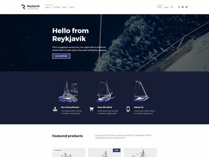 create modern and pixel perfect wordpress website design