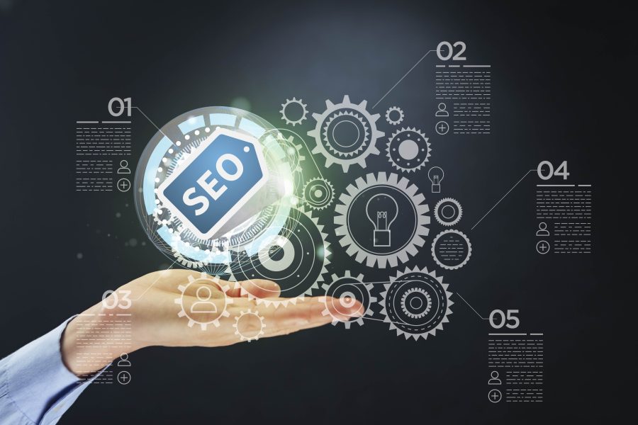 I will do an expert SEO audit on your website/s