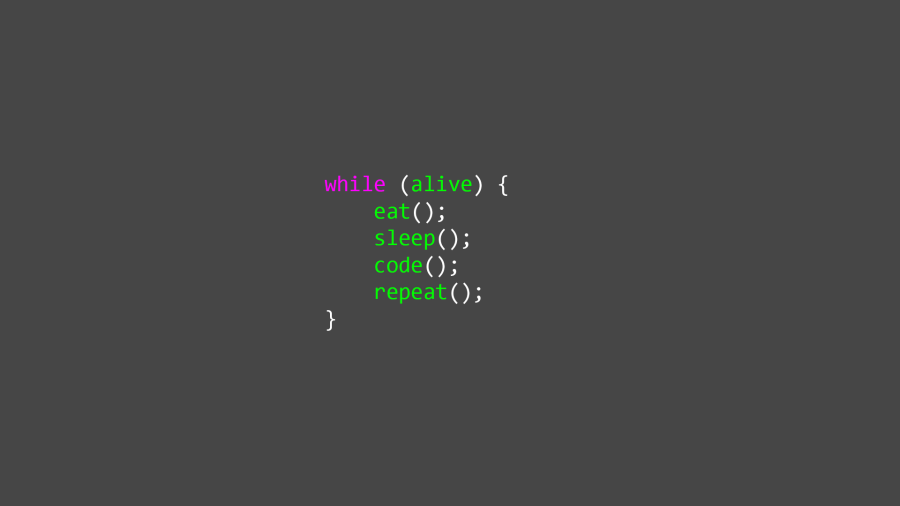 I will program anything for you