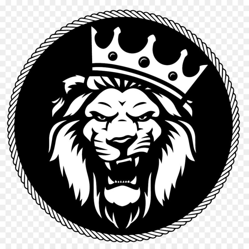 PROFESSIONAL logo designer Delivery With in 1 day