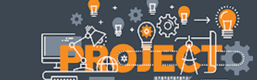 Fast 500 directory submission in just 2 days