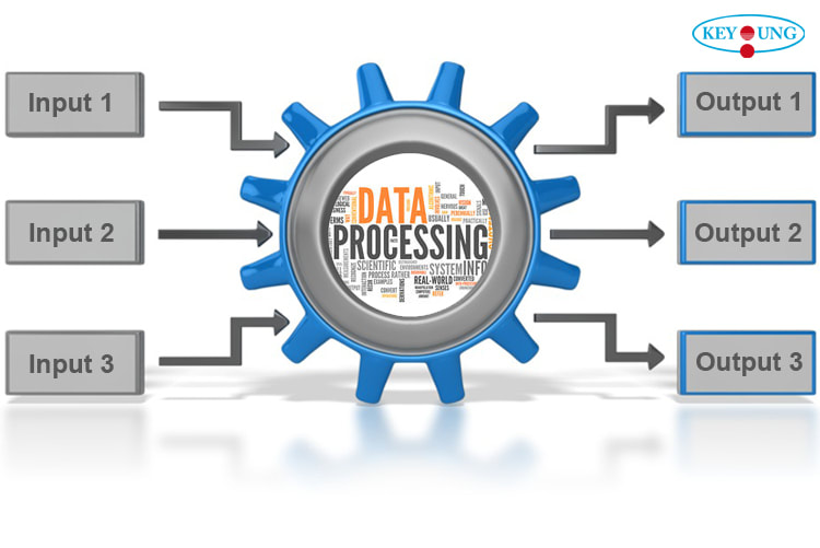 will provide 5k data processing service 