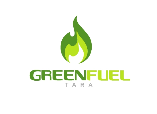I will do 10 different logo designs 