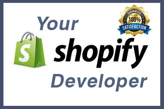I will build and design your professional shopify store 