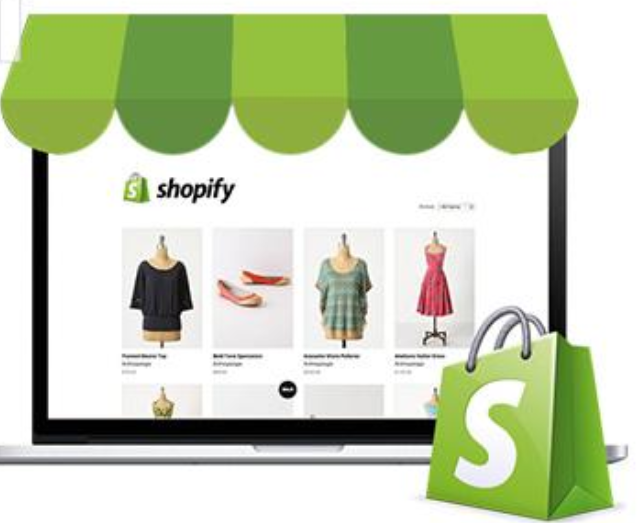 I will design shopify website,shopify store