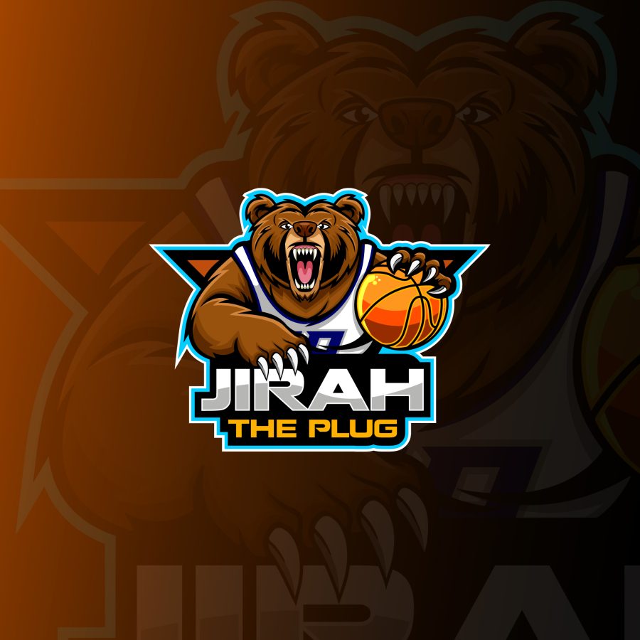 I will do gfx, mascot professional logo design in 12 hours