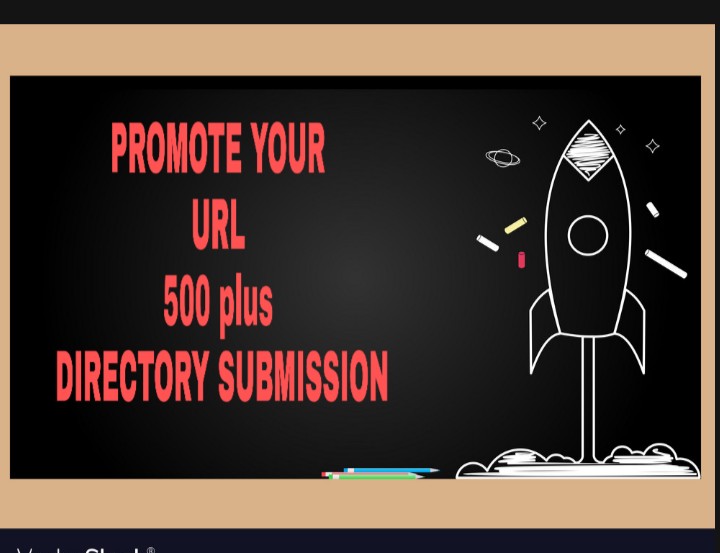  I CAN DO 501 DIRECTORY SUBMISSION within a day